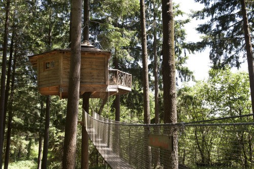 Reviva seus sonhos de infância nestes hotéis em casa na árvore 